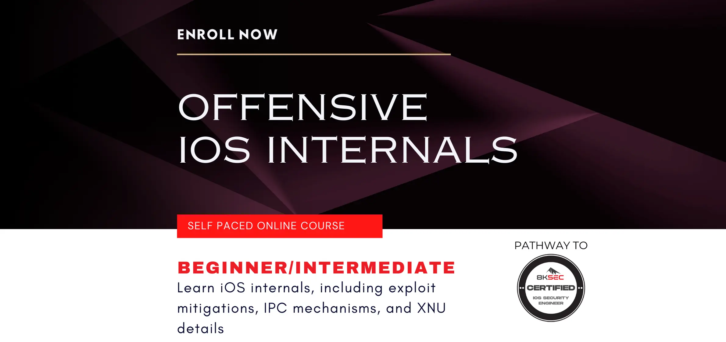 Offensive iOS Internals