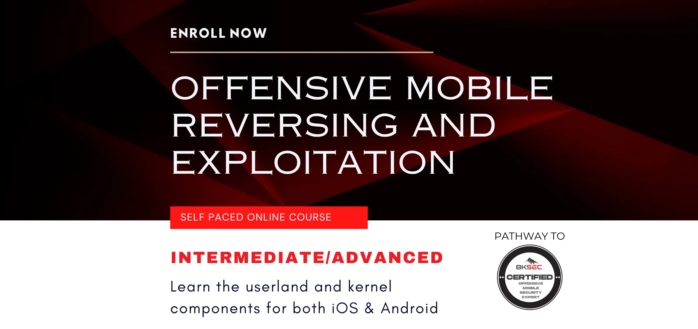 Offensive Mobile Reversing