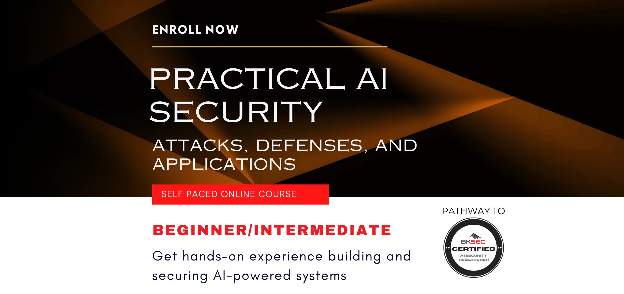 Practical AI Security