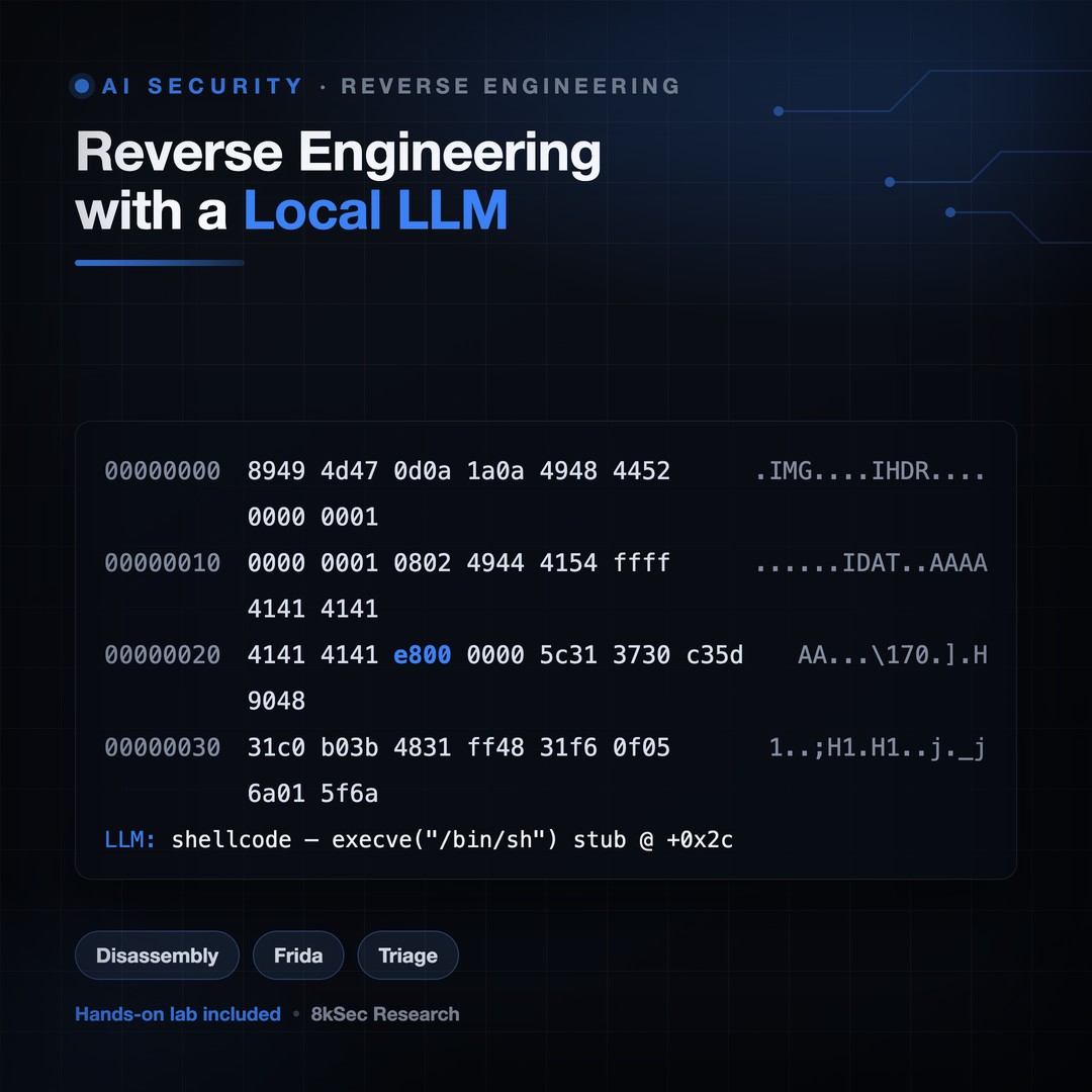 Reverse Engineering with a Local LLM: Disassembly, Triage, and Frida Hooks