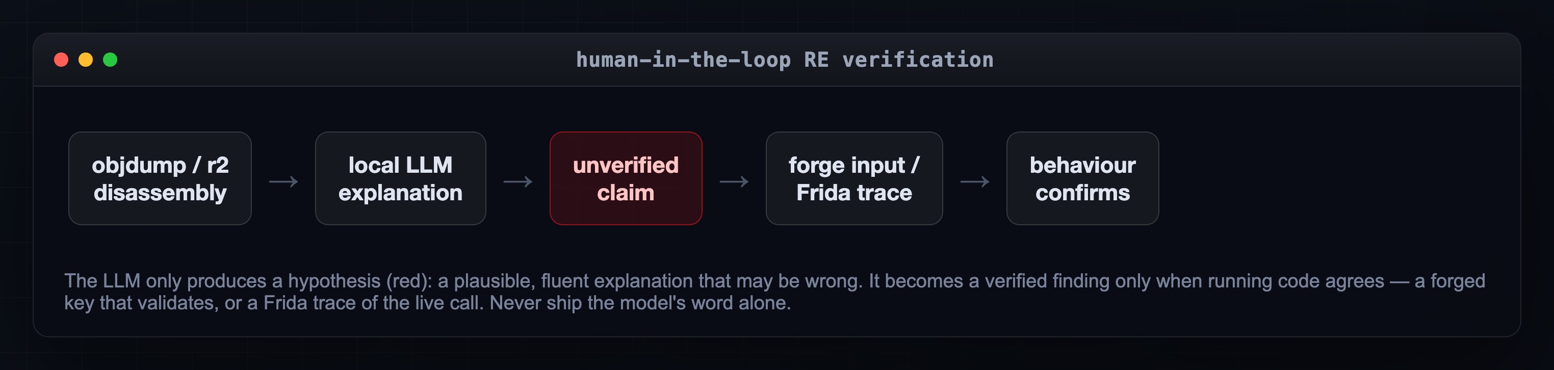 Flow diagram of the human-in-the-loop RE verification cycle: objdump/r2 disassembly to local LLM explanation to an unverified claim (highlighted red) to forge-input-or-Frida-trace to behaviour confirms