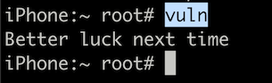Terminal output showing Better luck next time message from vuln binary