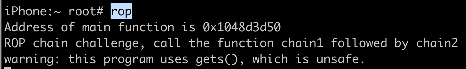 Terminal output of running rop binary without arguments