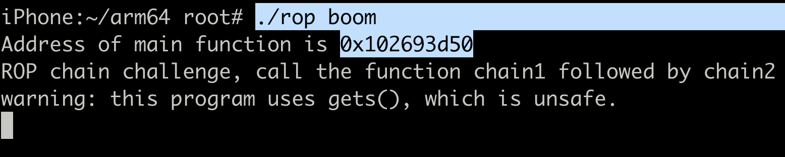 Rop binary output showing leaked main function address for slide calculation