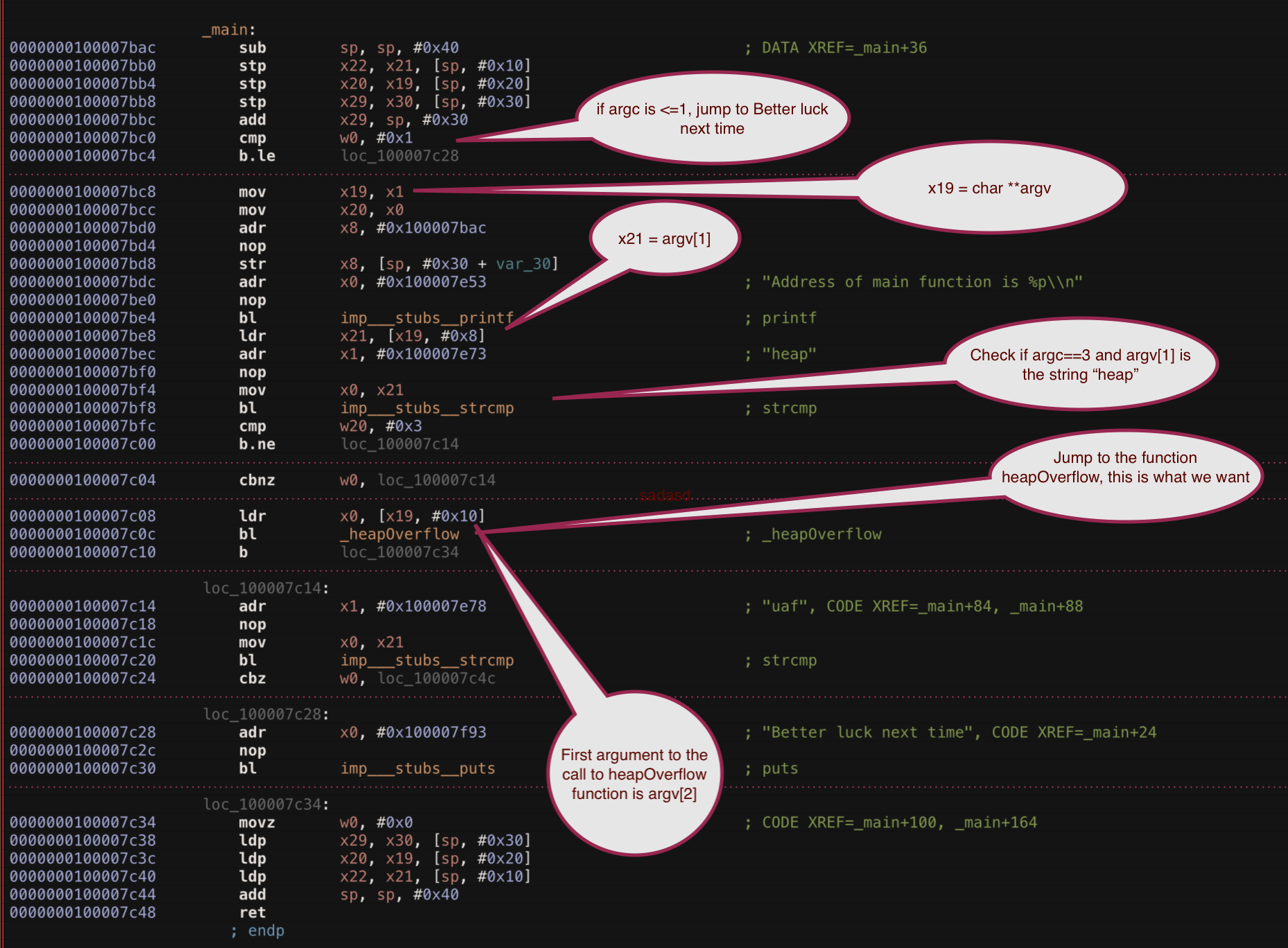 Hopper disassembly of vuln binary main function