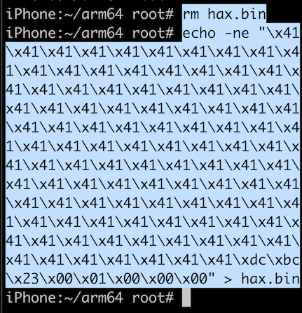 Creating hax.bin with chain1 slid address in payload