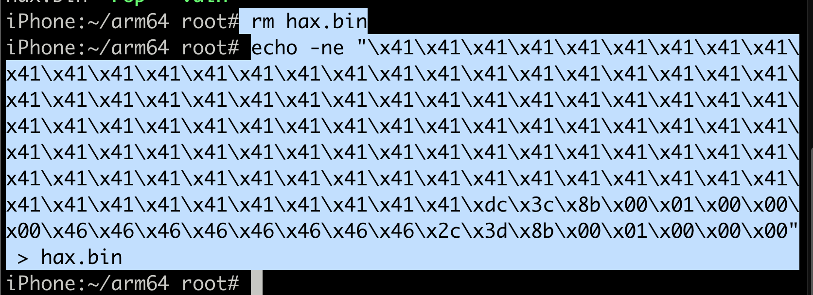 Creating final hax.bin with chain1 and chain2 addresses in ROP chain