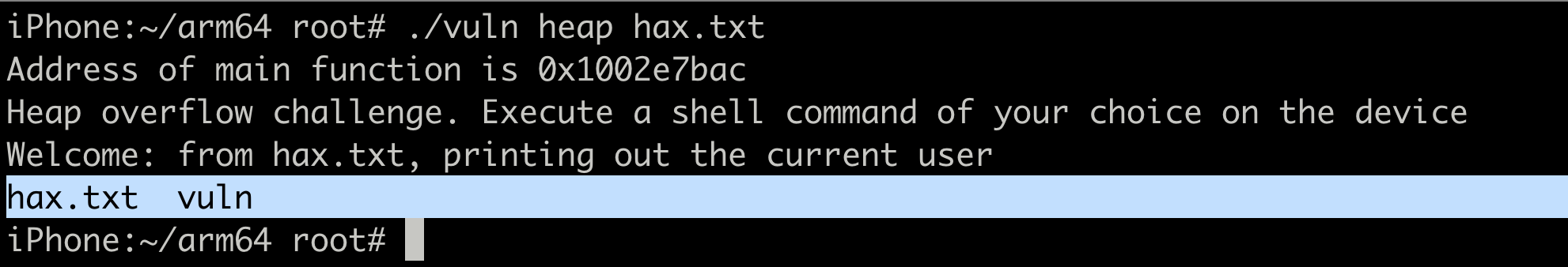 Heap overflow exploit executing ls command instead of whoami
