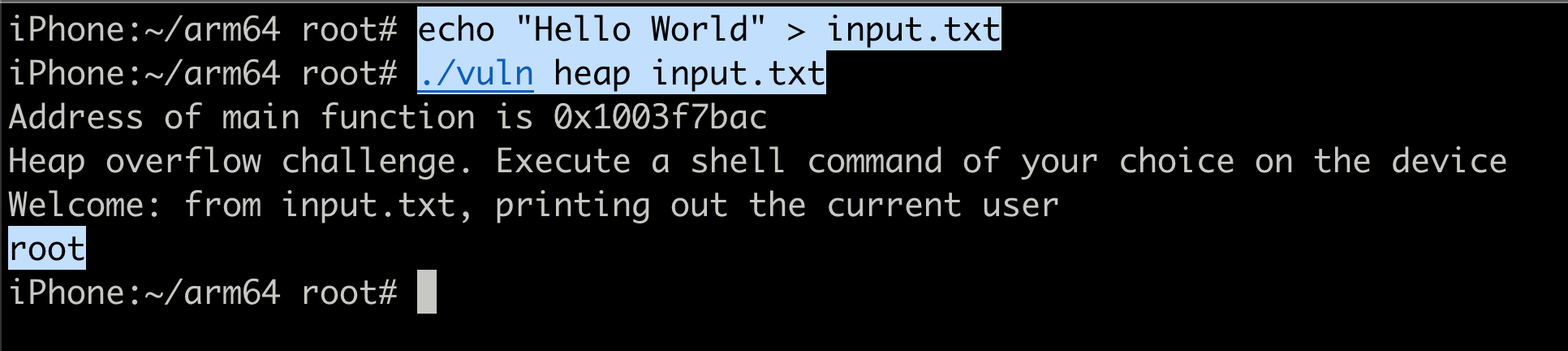 Terminal output of vuln binary printing whoami result with input file