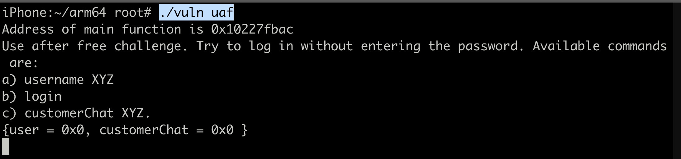 Terminal showing useafterfree function output with user and customerChat addresses