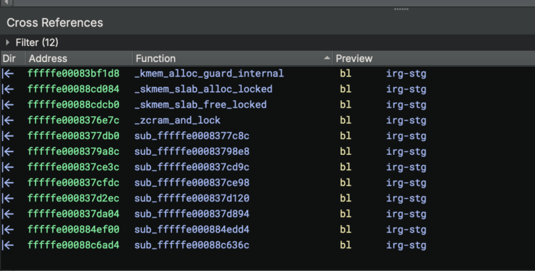 Binary Ninja IRG-STG function