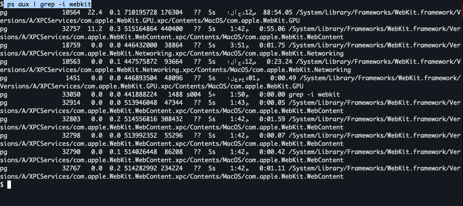 macOS Activity Monitor filtered by WebKit, showing the com.apple.WebKit.WebContent, com.apple.WebKit.GPU, and com.apple.WebKit.Networking processes running as separate sandboxed processes alongside Safari