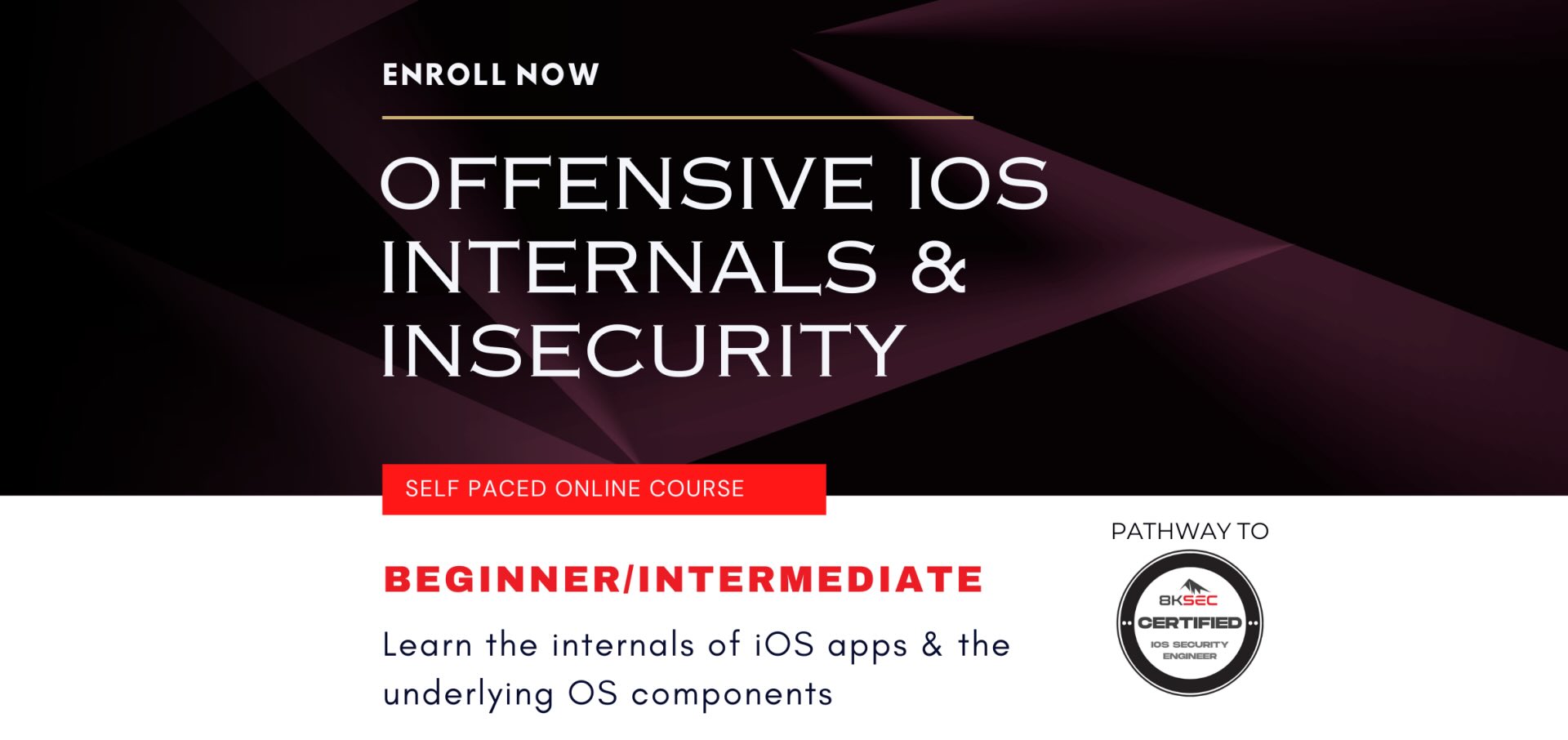 Offensive iOS Internals