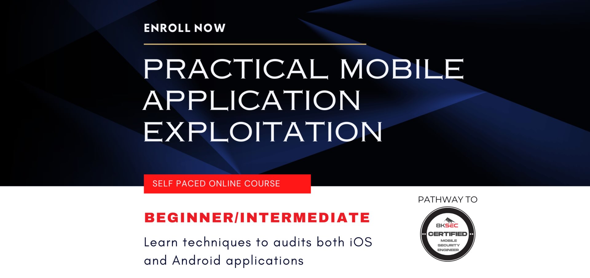 Practical Mobile Application Exploitation